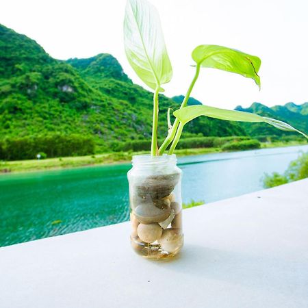 Phong Nha A Little Leaf Homestay Eksteriør bilde