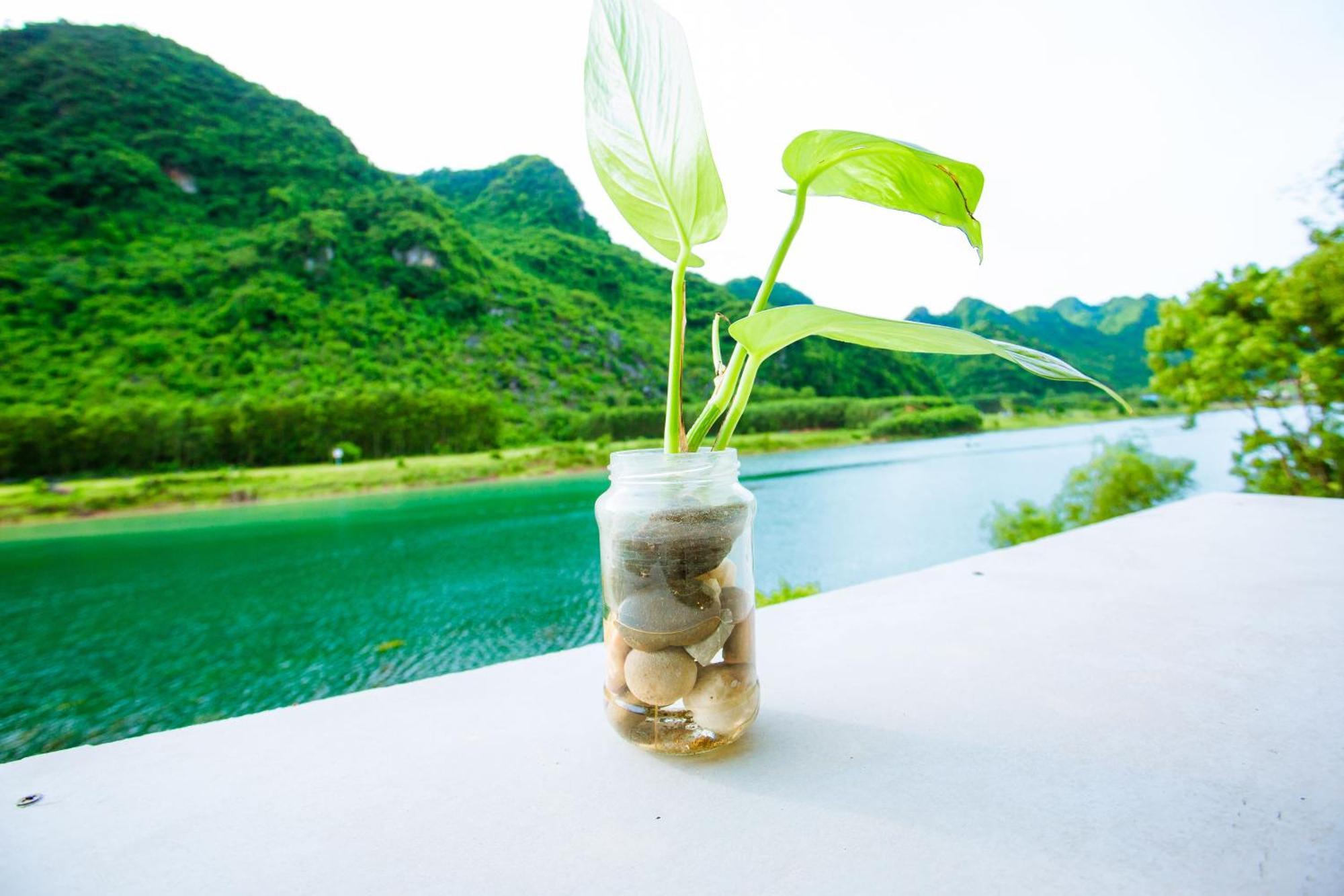 Phong Nha A Little Leaf Homestay Eksteriør bilde
