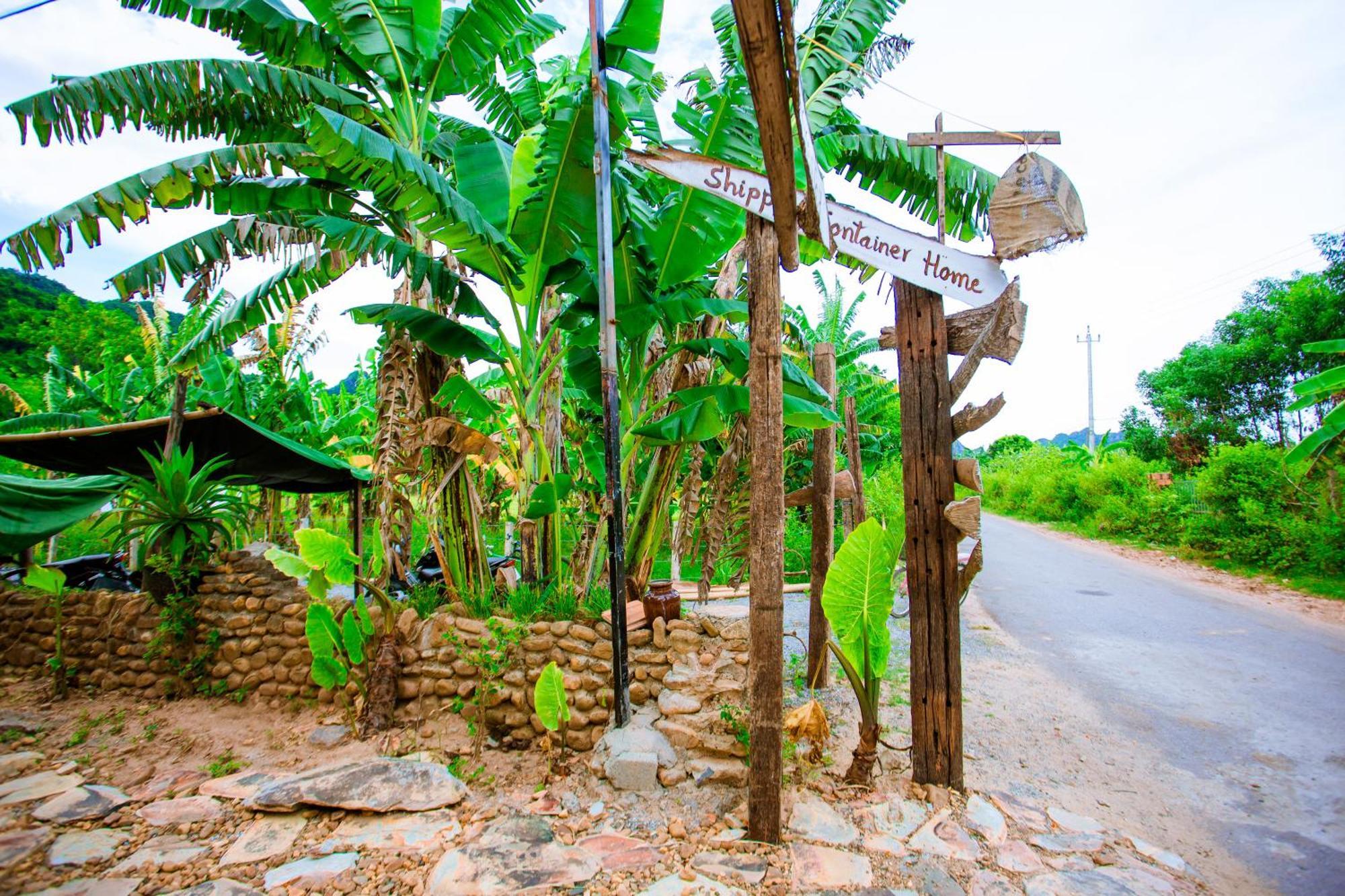 Phong Nha A Little Leaf Homestay Eksteriør bilde
