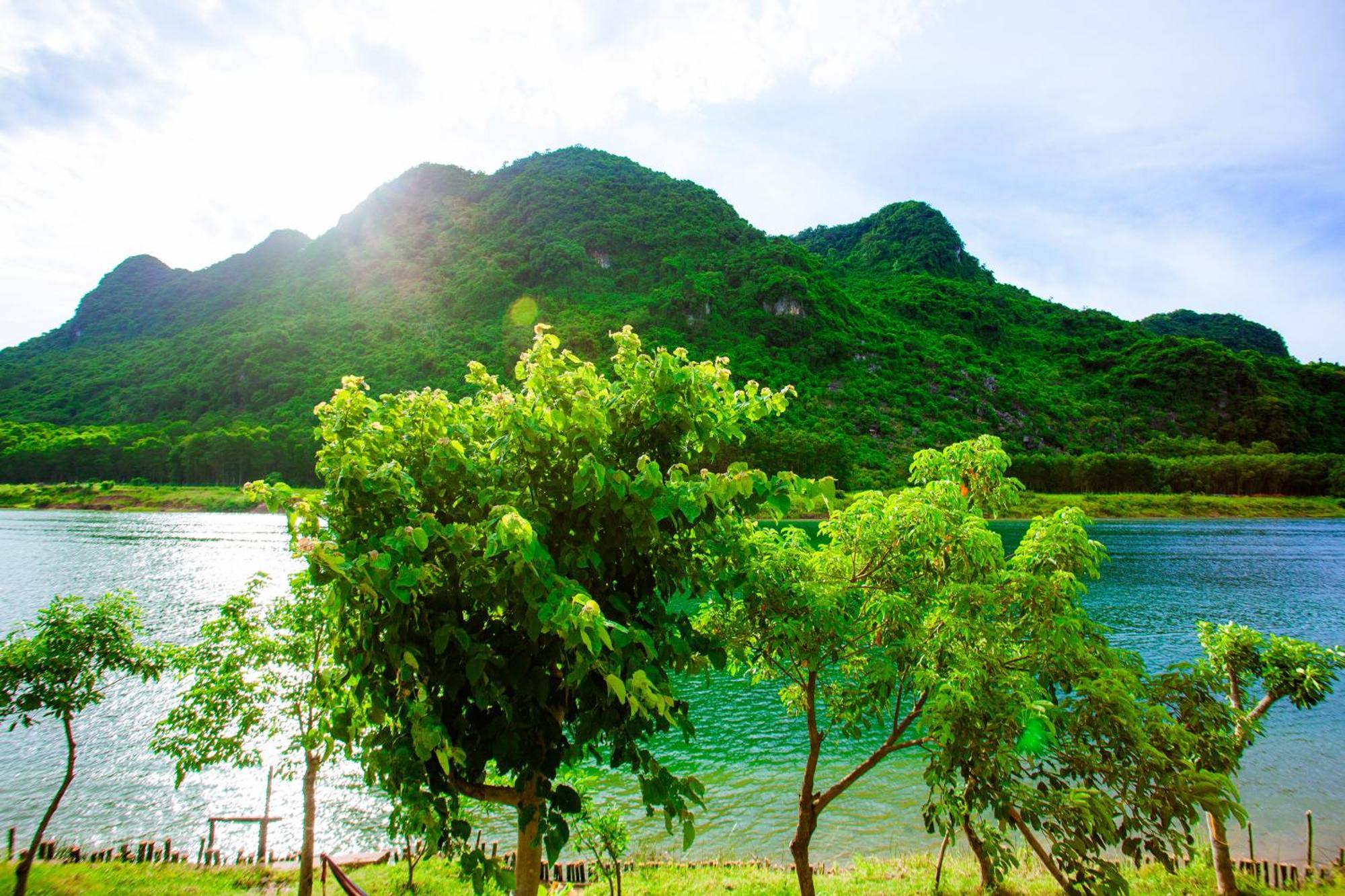 Phong Nha A Little Leaf Homestay Eksteriør bilde