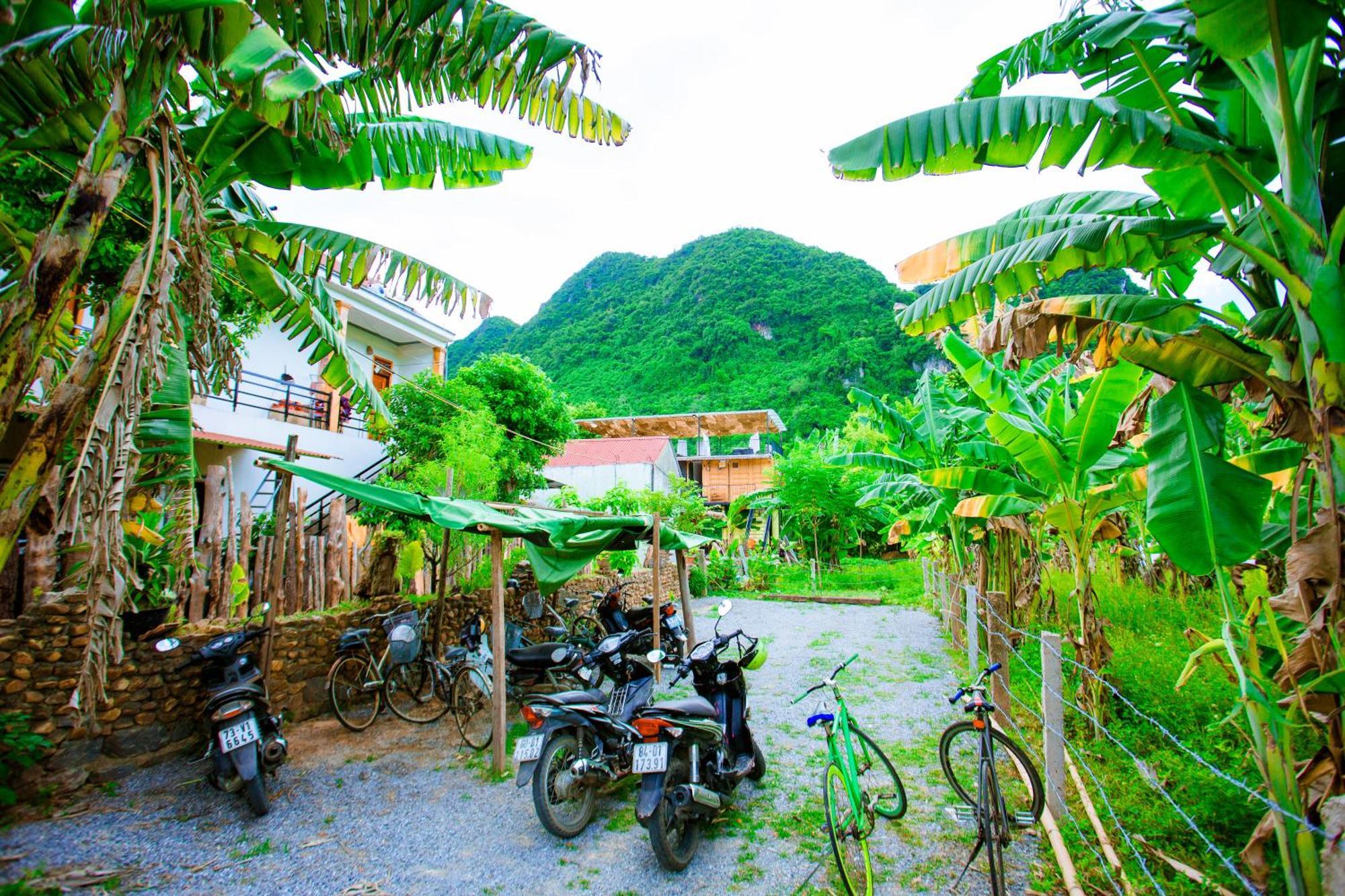 Phong Nha A Little Leaf Homestay Eksteriør bilde