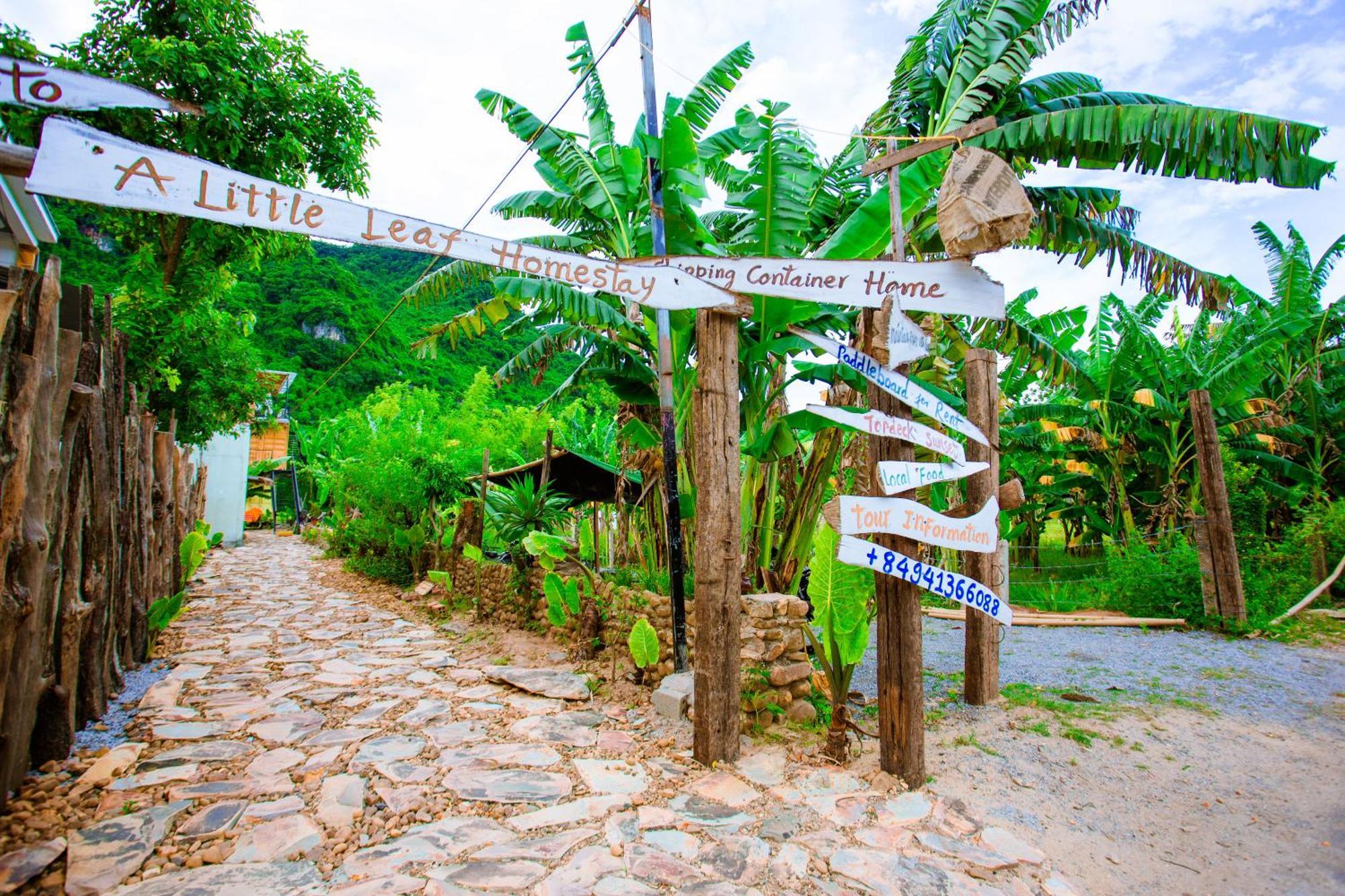 Phong Nha A Little Leaf Homestay Eksteriør bilde
